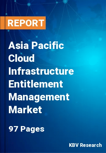 Asia Pacific Cloud Infrastructure Entitlement Management Market Size, 2030