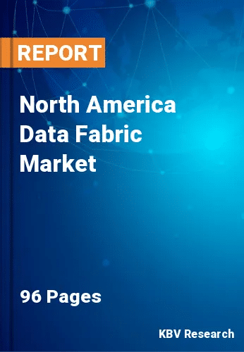 North America Data Fabric Market Size, Analysis, Growth