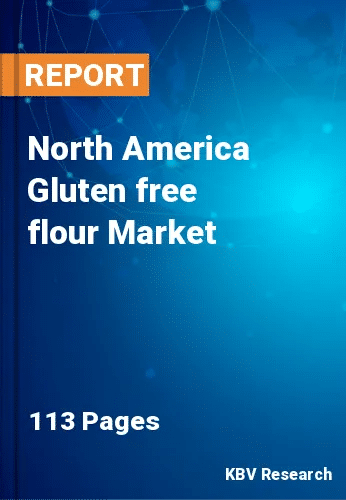 North America Gluten free flour Market