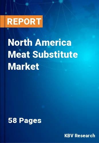 North America Meat Substitute Market Size, Analysis, Growth